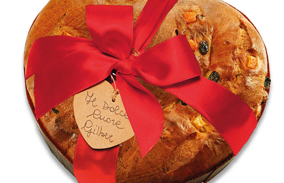 Dolcecuore Gilber